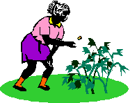 Ergonica 3-D Weed Control Program