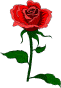 flower.wmf (8182 bytes)