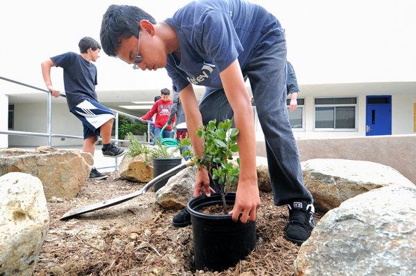 San Marcos Middle School Native Plants