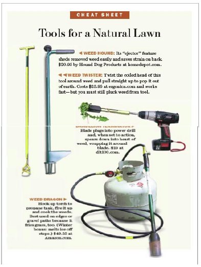 Tools for a Natural Lawn